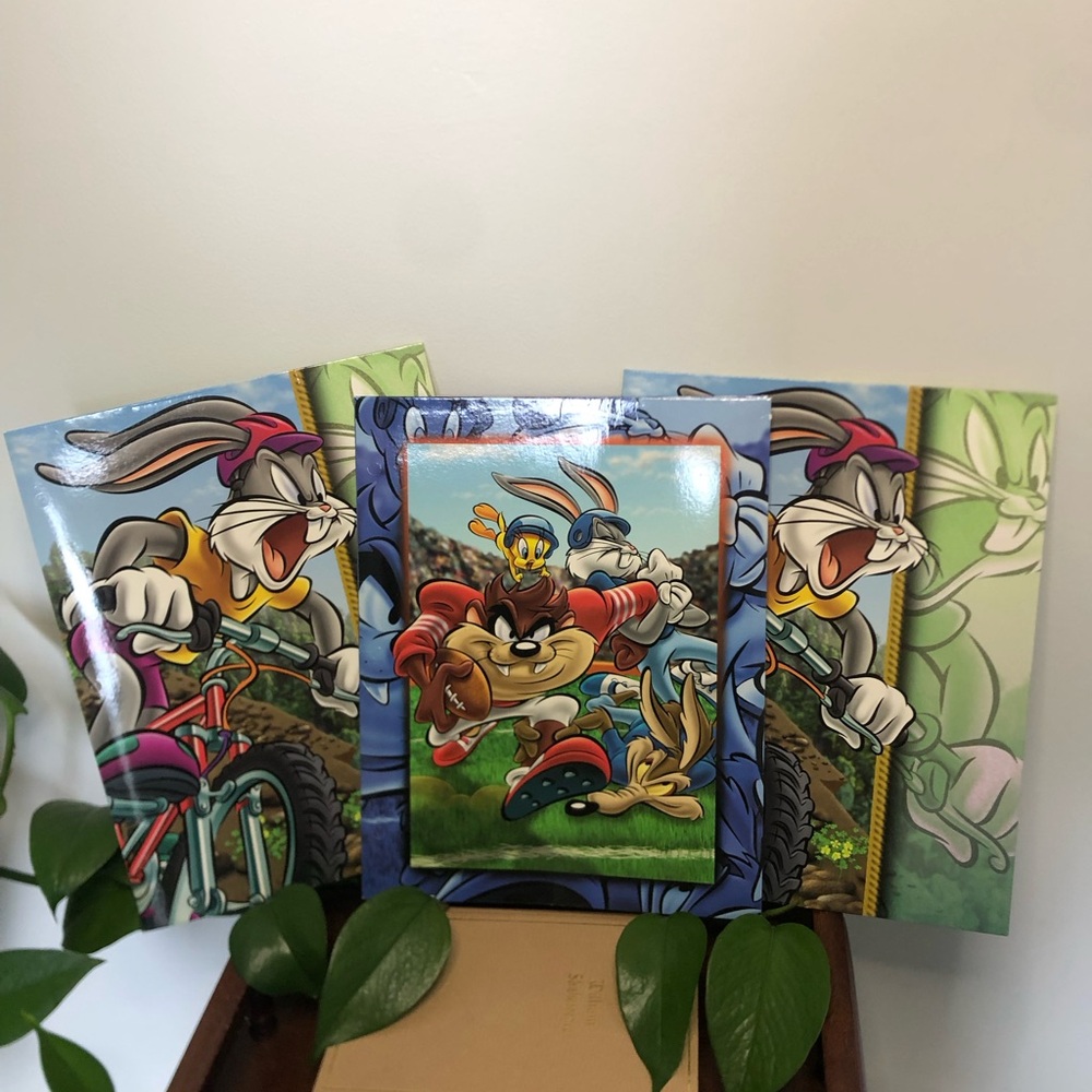 VTG 1999 Looney Tunes Folders Lot of 3 Stuart Hall UNPUNCHED Bugs Taz Tweety